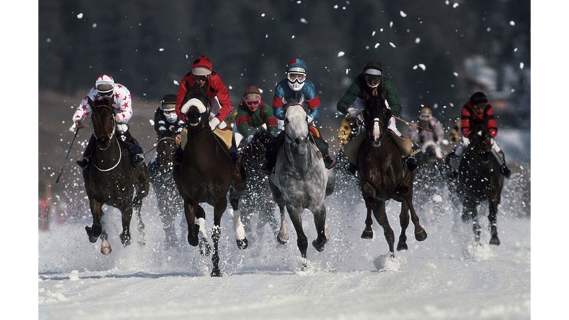 204/218 - Horses on Ice in St Moritz - Switzerland, 1989.