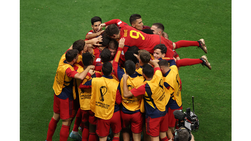 13/4 World Cup 2022