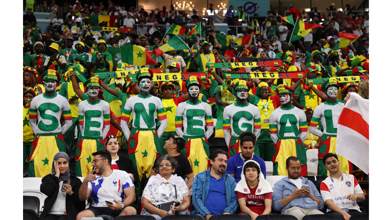 26/4 World Cup 2022