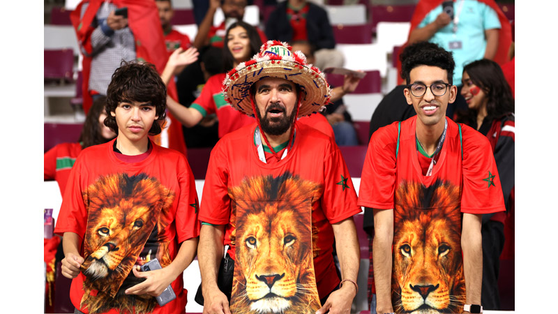 38/4 World Cup 2022